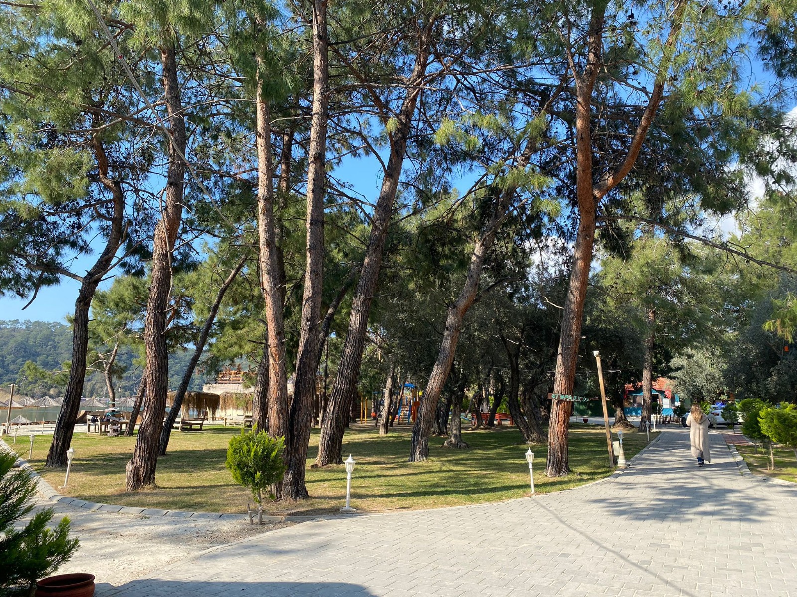 Galeri
